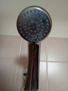 Legionella sampling of showerheads